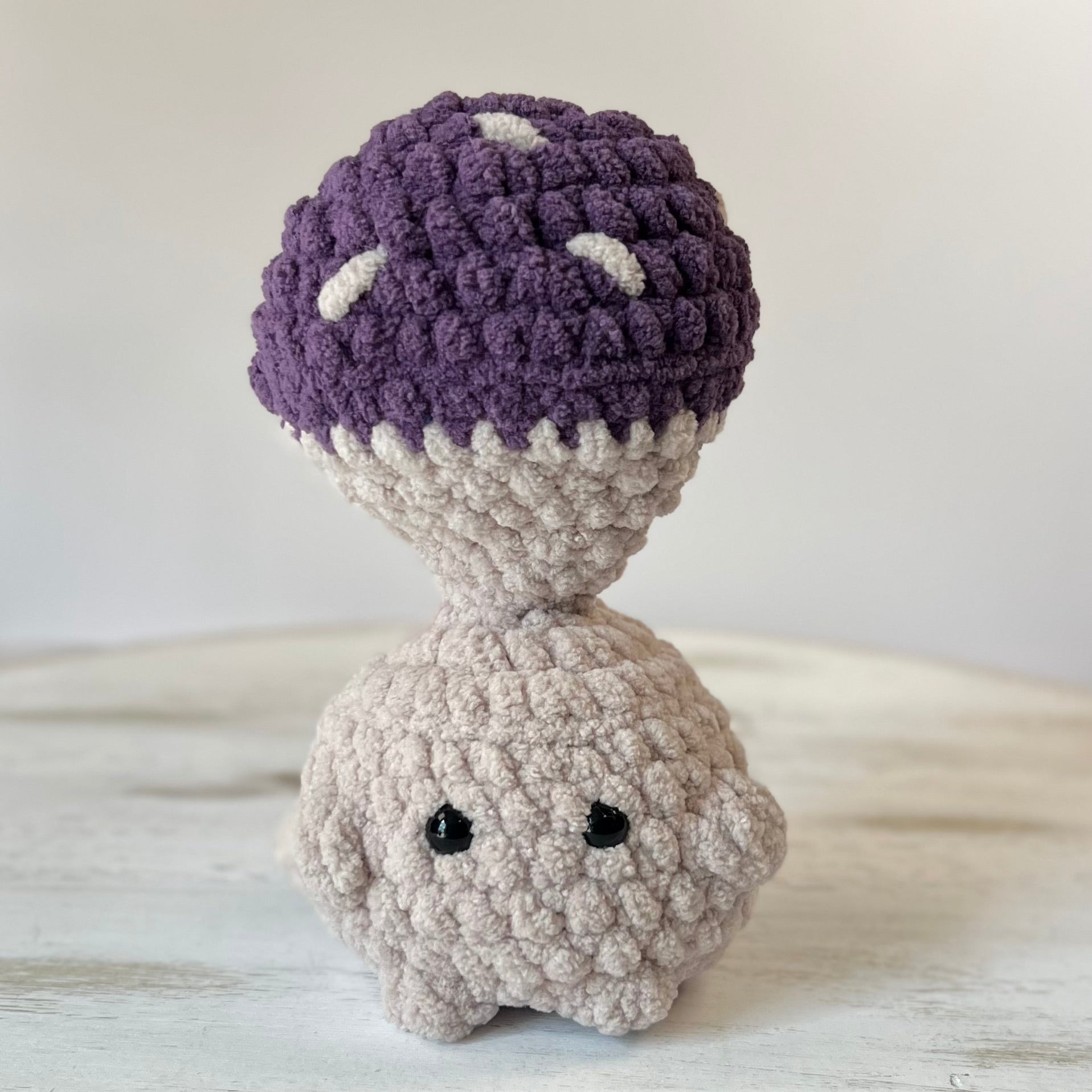 Mushroom Fidget Crochet Plush