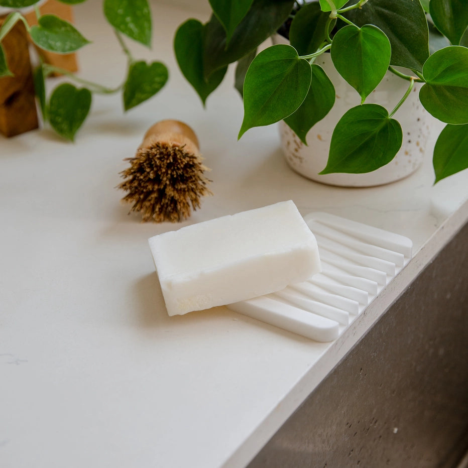 Bar of soap on a white soap dish with a brush and plant in the background
